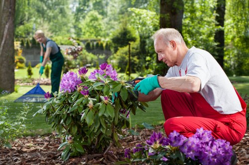Gardener trimming an overgrown hedge