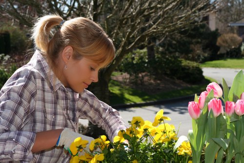 Team of gardeners wearing protective gear on a residential lawn